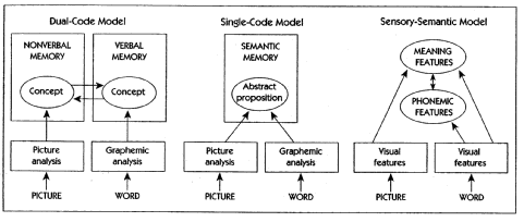 semantic memory model
